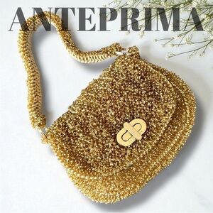 Antrima Luxury Gold Wire Women's Bag
